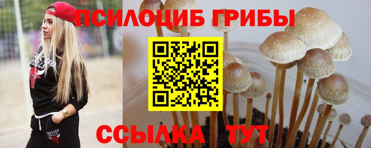 Псилоцибиновые грибы MAGIC MUSHROOMS Кемерово